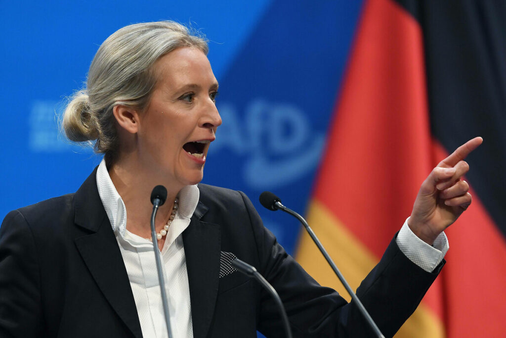 alice weidel ohrprothese